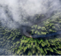 nature image